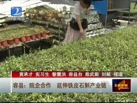 容县：标准化建设助力乡村振兴-中国质量新闻网