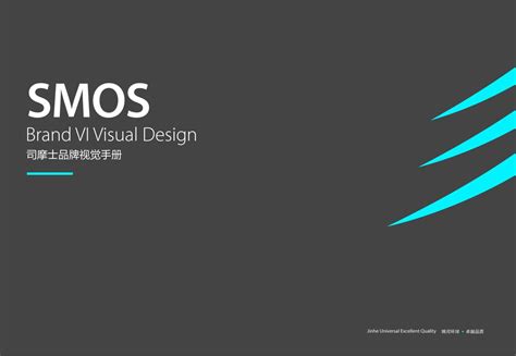 德宏logo设计公司-专业品牌vi、商标、标志设计公司