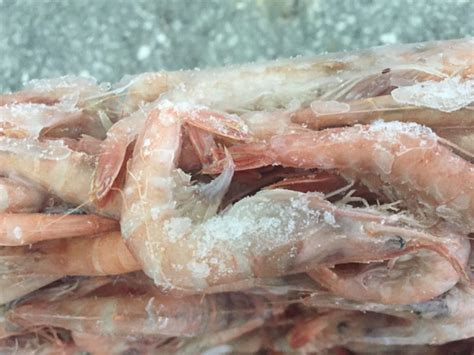 船冻野生东海红虾 油爆虾原料 5公斤包装 舟山冷冻海产直销批发-阿里巴巴