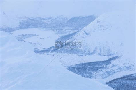 寒雪中白色的白树高清图片下载-正版图片507441141-摄图网