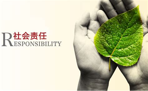 中国企业社会责任研究报告（2015）_皮书数据库