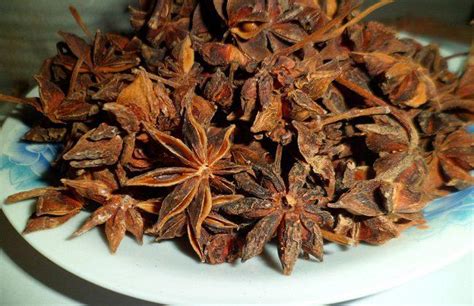大茴香图片
