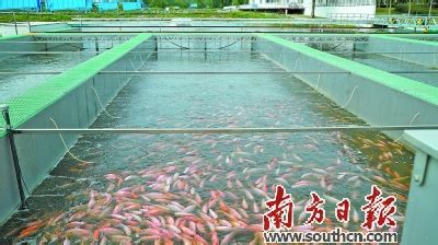 2023第九届广州国际渔业博览会 - 会展之窗