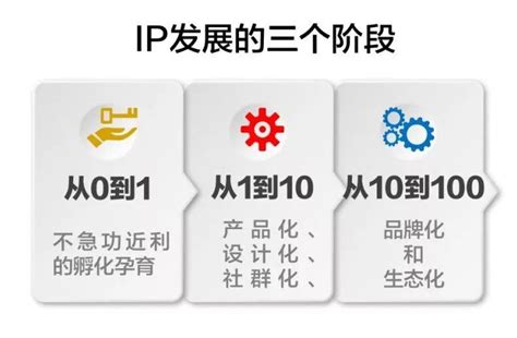 网盛互动公关公司：12年服务500客户，创始人IP孵化打造_中国发展网