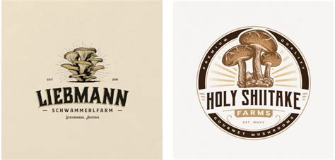 蘑菇品牌设计所需要注意的几个方面「尼高品牌设计」
