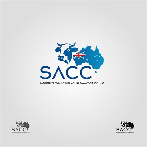 南澳电气NAJC-C绝缘子零值测试仪绝缘子串电压分布测量仪