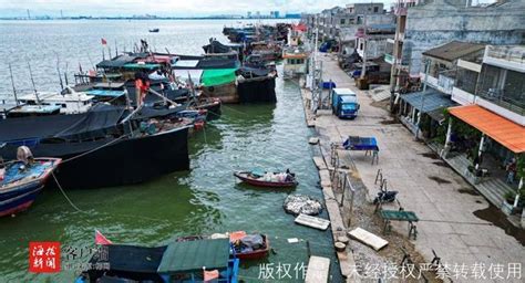今年一季度海南外贸增速居全国首位！儋州（洋浦）继续领跑全省↓_上海一季度GDP增长3.1%_进出口_贸易