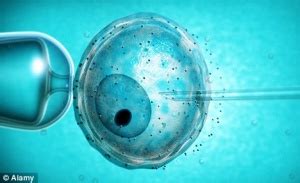 除了人工授精，干细胞治疗不孕不育也备受关注|干细胞|经血|人工授精|子宫|精子|-健康界