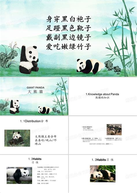 卡通风大熊猫介绍PPT模板PPT广告设计素材海报模板免费下载-享设计