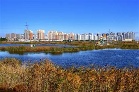 2019年黑龙江省大庆市各县区城镇居民人均收入排名：林甸县最低!|城镇居民|人均收入|大庆市_新浪新闻