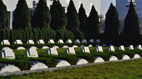 中国一烈士陵园，埋葬着五个日军，碑上的两个字让日本人不停抗议_腾讯视频
