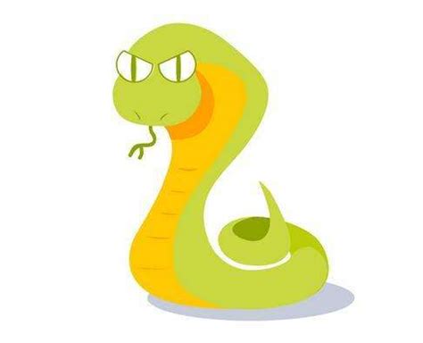 2022年属蛇的多大年龄,属蛇的今年几岁年龄对照表_易星网