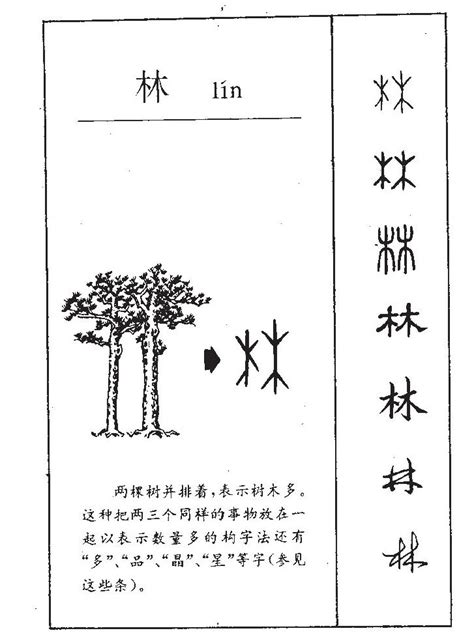 细说汉字“林”，林字的本义、林字演变及起源 - 细说汉字 - 辞洋