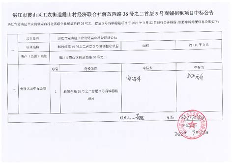 霞山区人民政府网站