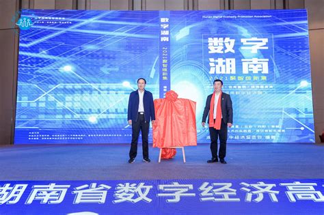 第二届湖南省数字经济高峰论坛暨2022数字化迎新颁奖典礼在长沙顺利举行 - 湖南省数字经济促进会
