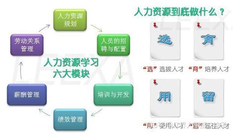 从零开始学习人力资源管理——第一堂课 HR基础理论知识 - 知乎