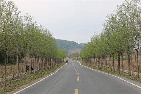吉林省林木种苗管理站 开展2022年林木种苗质量抽查工作