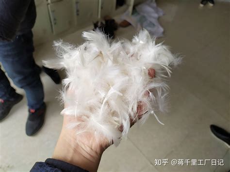造作 | 造作有眠™－极暖白鹅绒被芯（厚被） | 95%优质白鹅绒，舒适亲肤的保温冬被