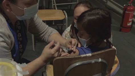 智利：首批中国新冠疫苗运抵