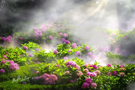 雾里看花的近义词和反义词是什么_雾里看花是什么意思?_学习力