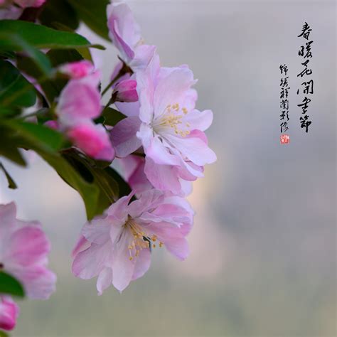 春暖花开的季节高清图片下载-正版图片600308476-摄图网