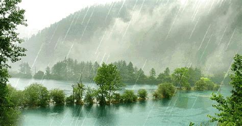 今日雨水，哈尔滨气温小回升！雨水真正的含义，你知道吗？|雨水|节气|气温_新浪新闻