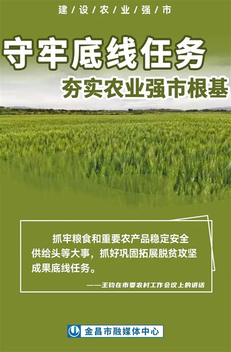 海报丨建设农业强市，金昌五项重点任务很扎实凤凰网甘肃_凤凰网