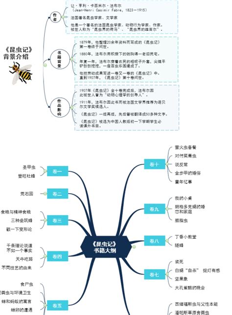 《昆虫记》思维导图|思维导图模板创意漂亮-TreeMind树图|shutu.cn