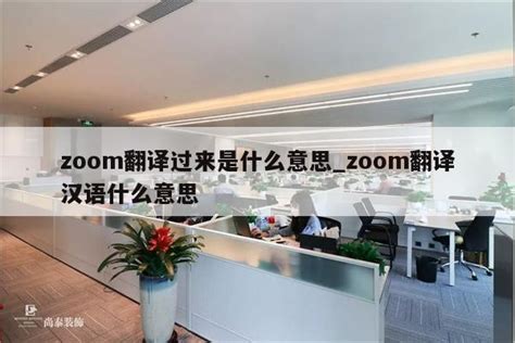 zoom翻译过来是什么意思_zoom翻译汉语什么意思 - zoom相关 - APPid共享网