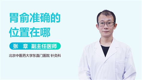 虚里的准确位置图图片 虚里的准确位置图图片
