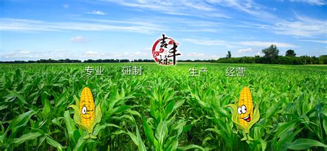 互信合作 共赢未来 ---先正达集团中国种业（玉米）召开合作伙伴大会-三北种业(SanbeiSeed)-种子,玉米种子,种业公司,高产栽培,农业技术