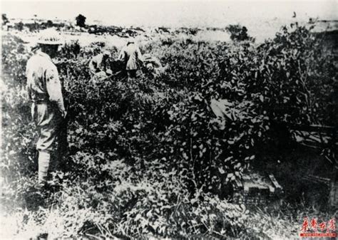 1945年湘西会战，为何国军能以比日军伤亡小的代价，取得胜利|中美|日军|会战_新浪新闻