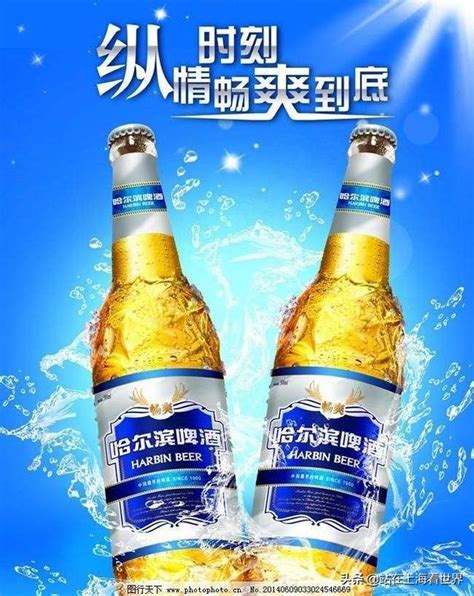 百威啤酒海报设计PSD素材免费下载_红动中国