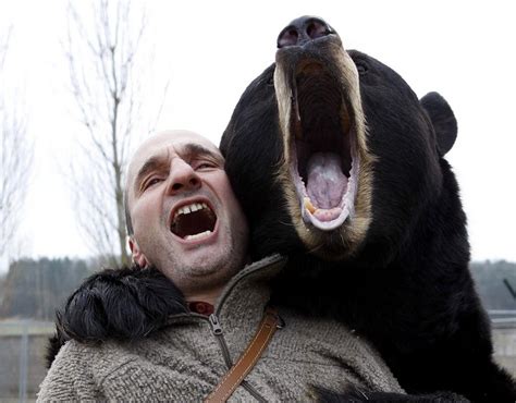 黑熊因与人过亲而死！盘点动物与人类亲密瞬间
