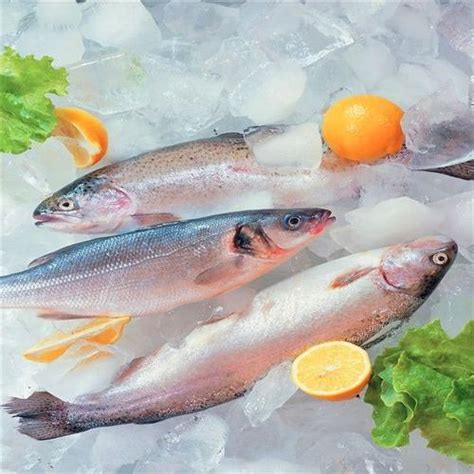 冰鲜海鱼,家常,冰鲜鱼(第11页)_大山谷图库