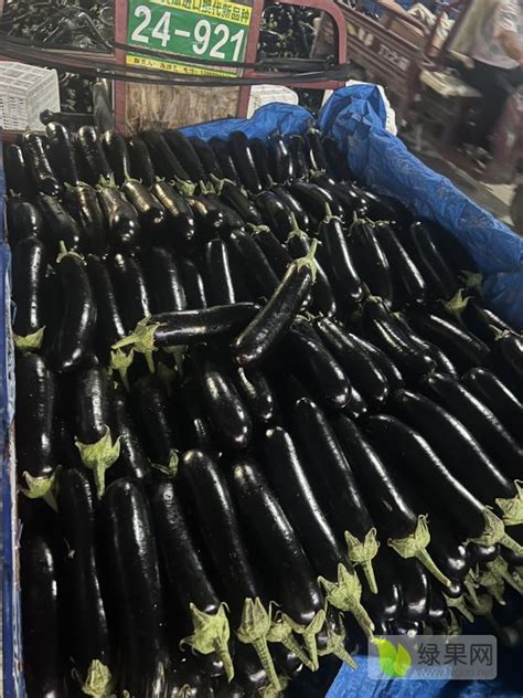 全球茄子行业供给现状分析 收获面积、产量总体保持增长中国为第一大产出国_观研报告网