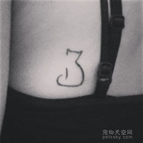 纹身非主流猫头像