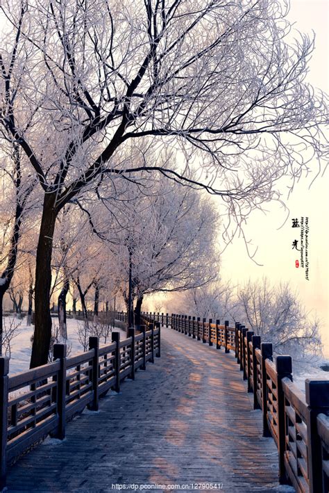 冬季到吉林二合雪乡 感受东北人生活中的“小确幸”_新浪吉林_新浪网