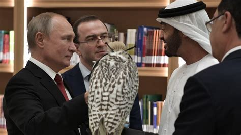 普京访阿联酋又送猎鹰，俄媒：相比那只“肠胃不好”的，这只更乖更放松