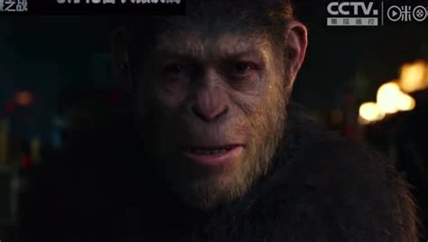 《猩球崛起3》发布新预告 猿族和人类列阵争霸_手机新浪网