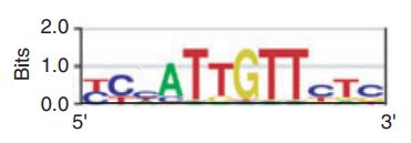 科学网—在线绘制基因表达谱聚类热图heatmap - 陈明杰的博文