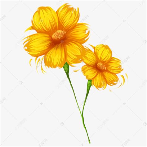 花朵动漫图图片