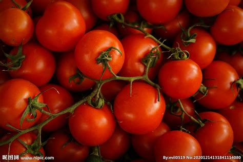 绿行者透心红番茄特价新鲜小西红柿蔬菜沙瓤小番茄自然熟生吃