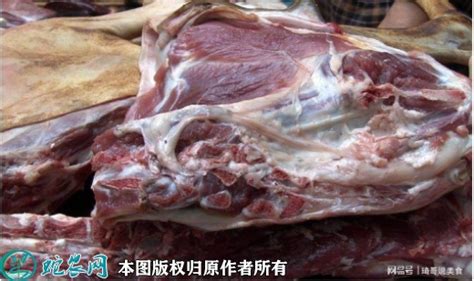 2022年1月11日山羊肉价格行情、今日山羊肉多少钱一斤？ - 农产品价格 - 蛇农网