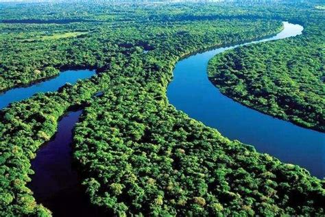 贝伦口岸视图，亚马逊盆地，巴西，南美洲高清摄影大图-千库网