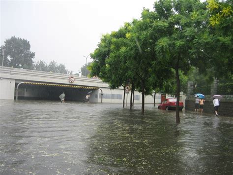 下雨天池塘出现黄浊水怎么处理_江苏瑞农生态农业股份有限公司