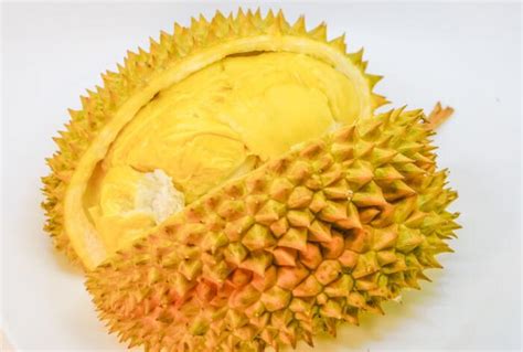 “热带水果之王”还能防癌抗癌？揭秘榴莲的功效与作用 - 鲜淘网