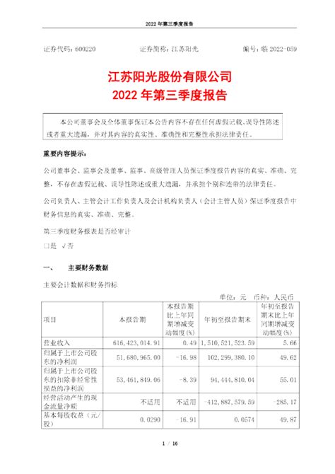 江苏阳光：江苏阳光股份有限公司2022年第三季度报告