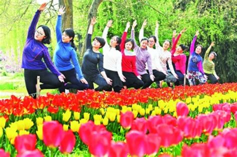 3月28日武汉晨报图文：花丛间练瑜伽----中国科学院武汉植物园