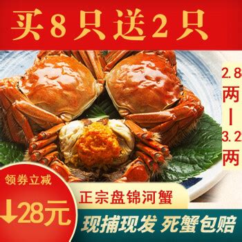 中国哪里的海鲜最好吃？中国海鲜地理图鉴